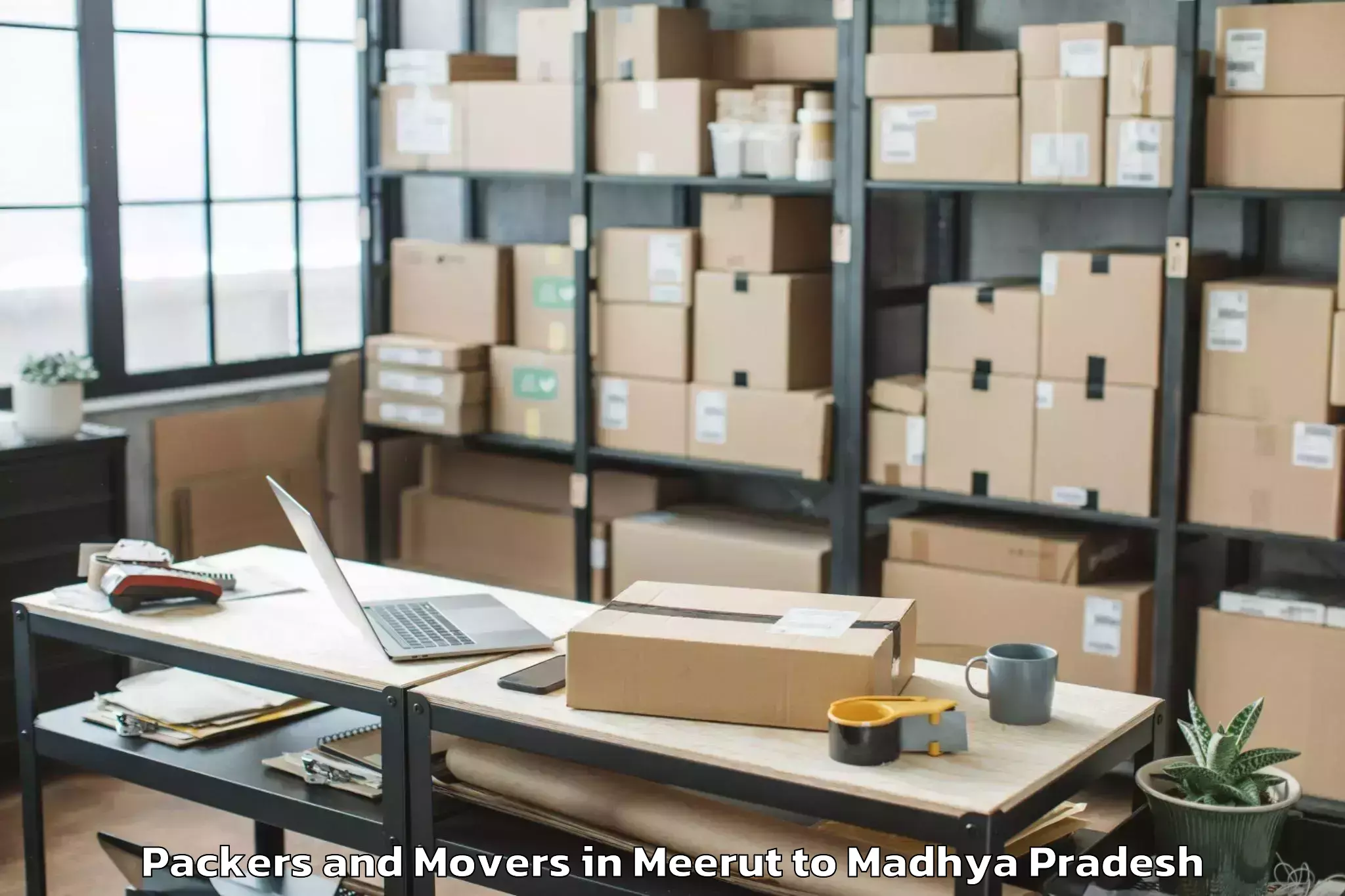 Meerut to Chanderi Packers And Movers Booking